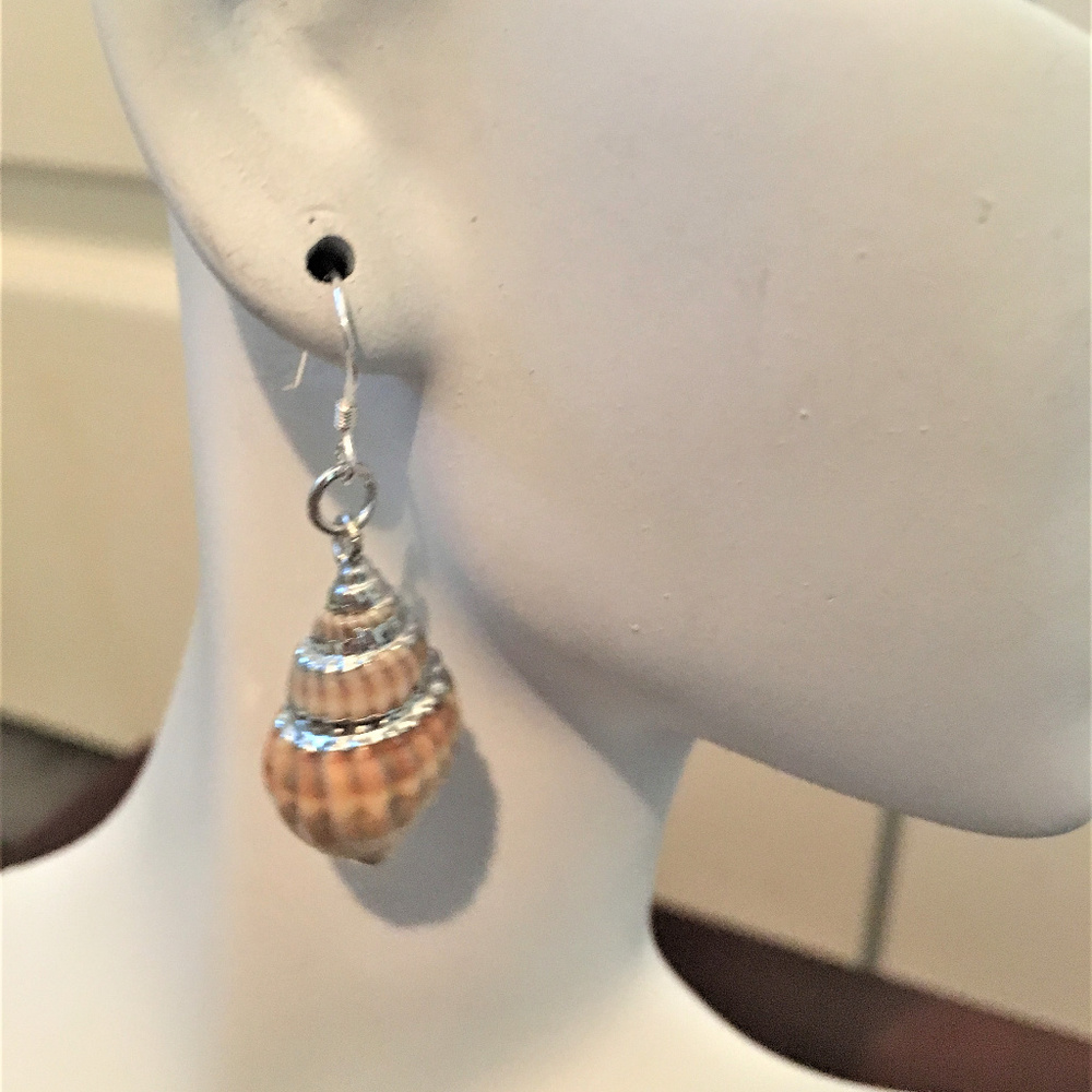 Nassa Shell SS Dangle Earrings #1286